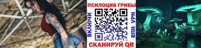 ссылка на мегу онион  Лахденпохья  Псилоцибиновые грибы Cubensis  где найти наркотики 